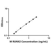 小鼠Runt相关转录因子2(RUNX2)ELISA试剂盒