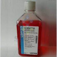 lonza 无血清造血细胞培养基，含有 rec transf，1L GMP级