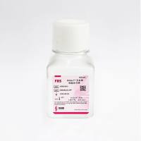 HRbio™ 无血清细胞冻存液