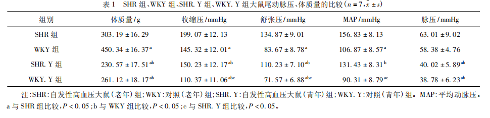 图片35.png