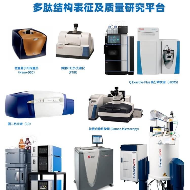 多肽药物表征与质量研究一体化解决方案