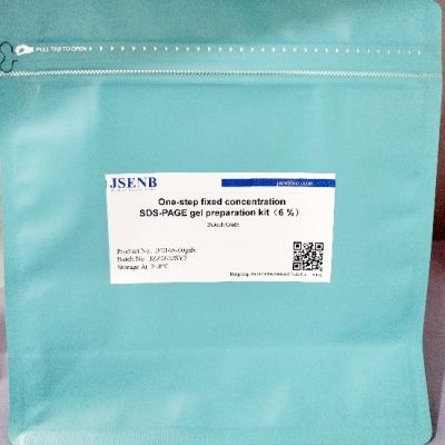 SDS-PAGE凝胶一步法配制试剂盒（6 %）