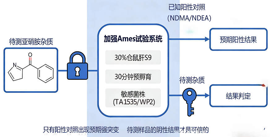 代谢π析 5-1.png