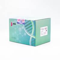 组织/细胞RNA/DNA分提试剂盒