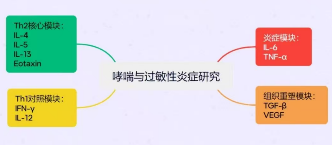 新闻图片4