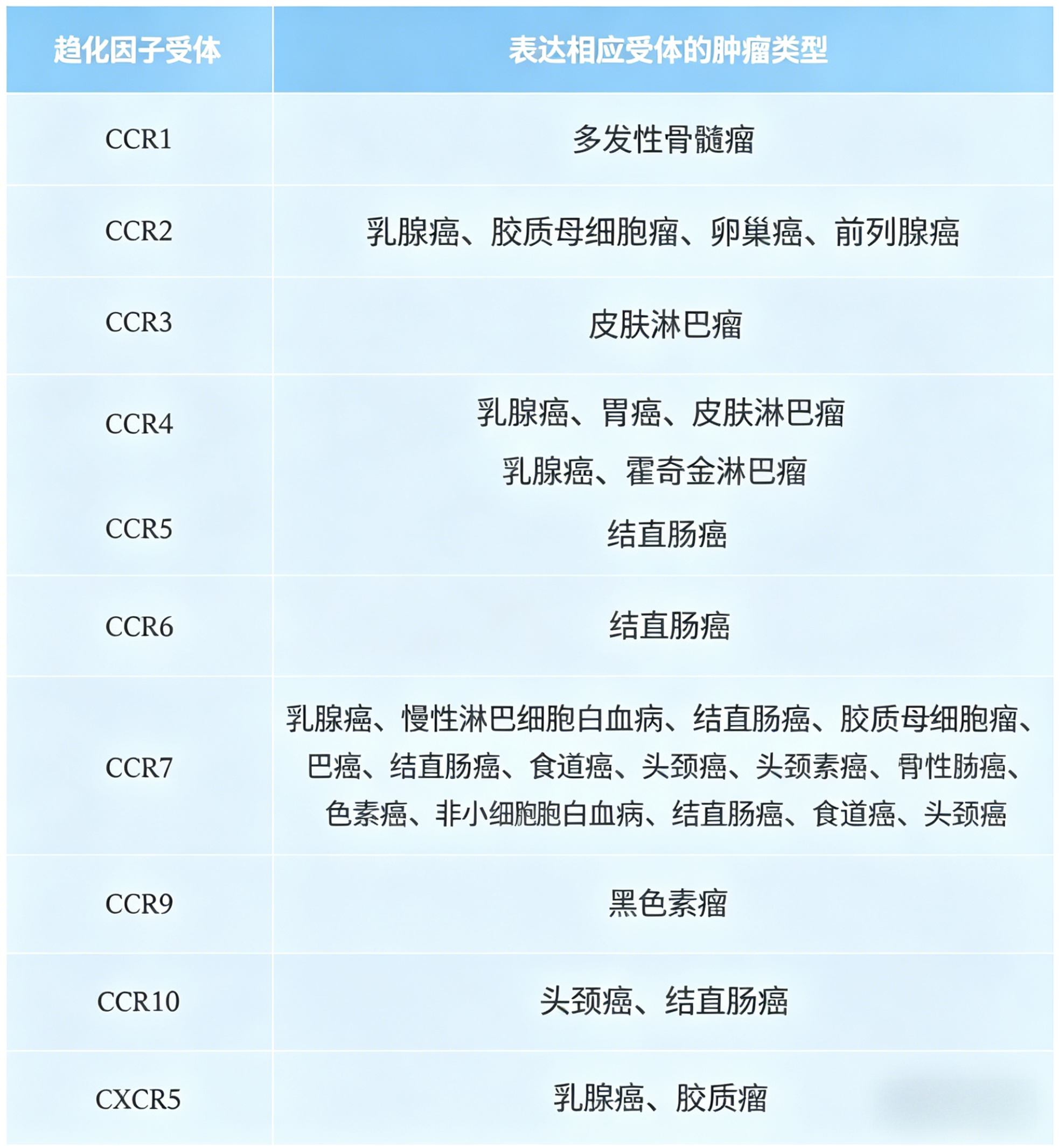 新闻图片6