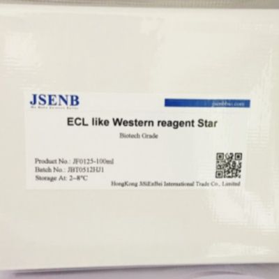 特超敏ECL化学发光试剂盒