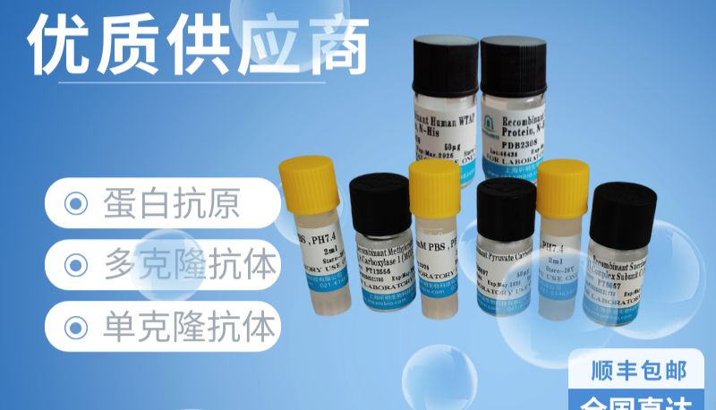 抗SFTSV核蛋白/核衣壳蛋白多克隆抗体（PAB05480）