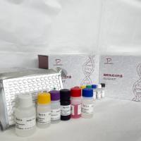 氨苄青mei素（Ampicillin）ELISA检测试剂盒