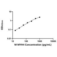 小鼠肌球蛋白重链4(MYH4)ELISA试剂盒
