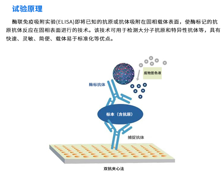 产品细节图片2