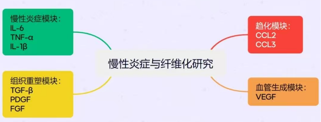 新闻图片5