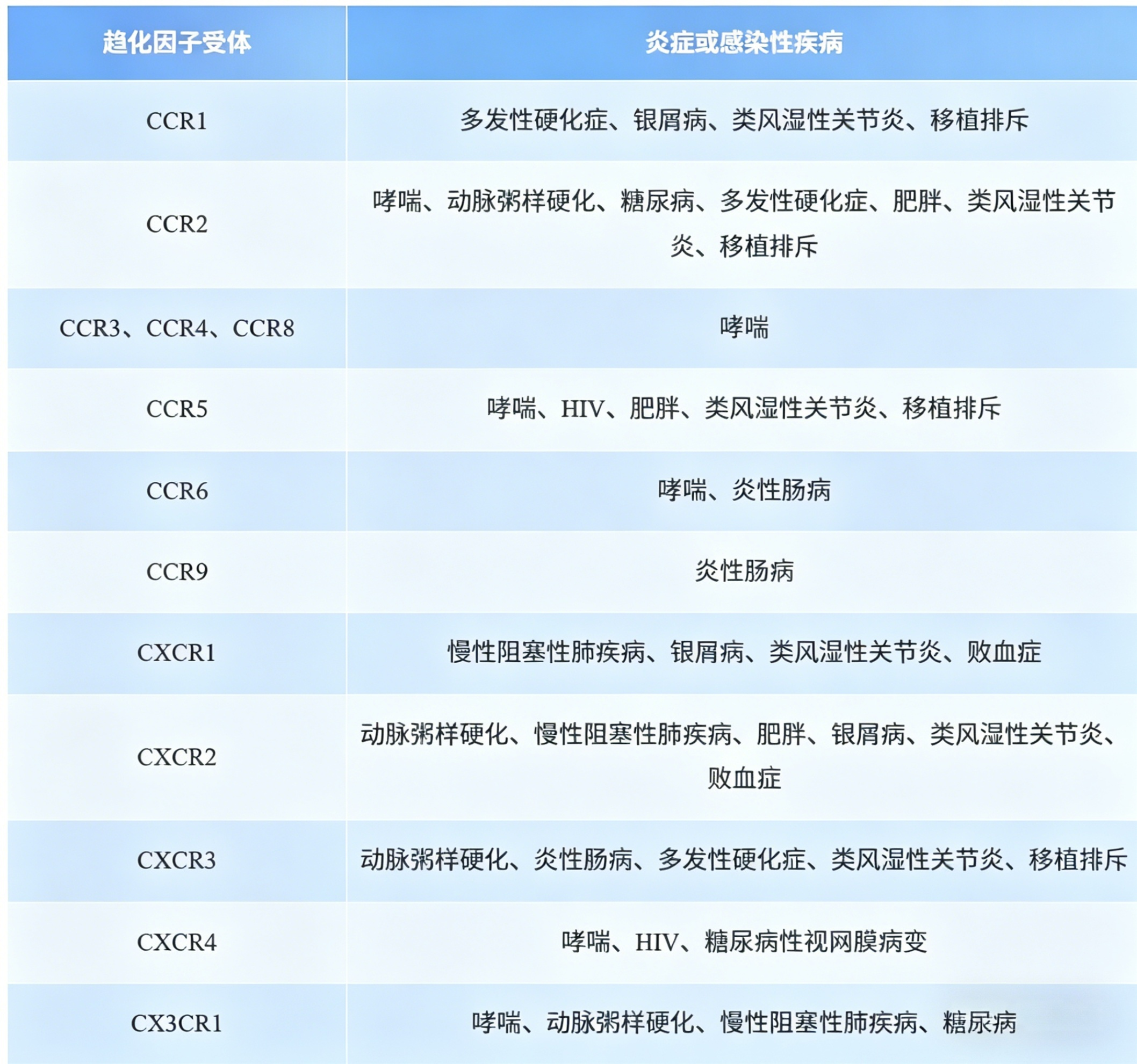 新闻图片5