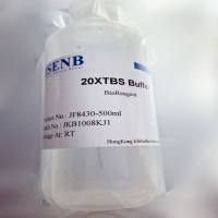 20×TBS 缓冲液