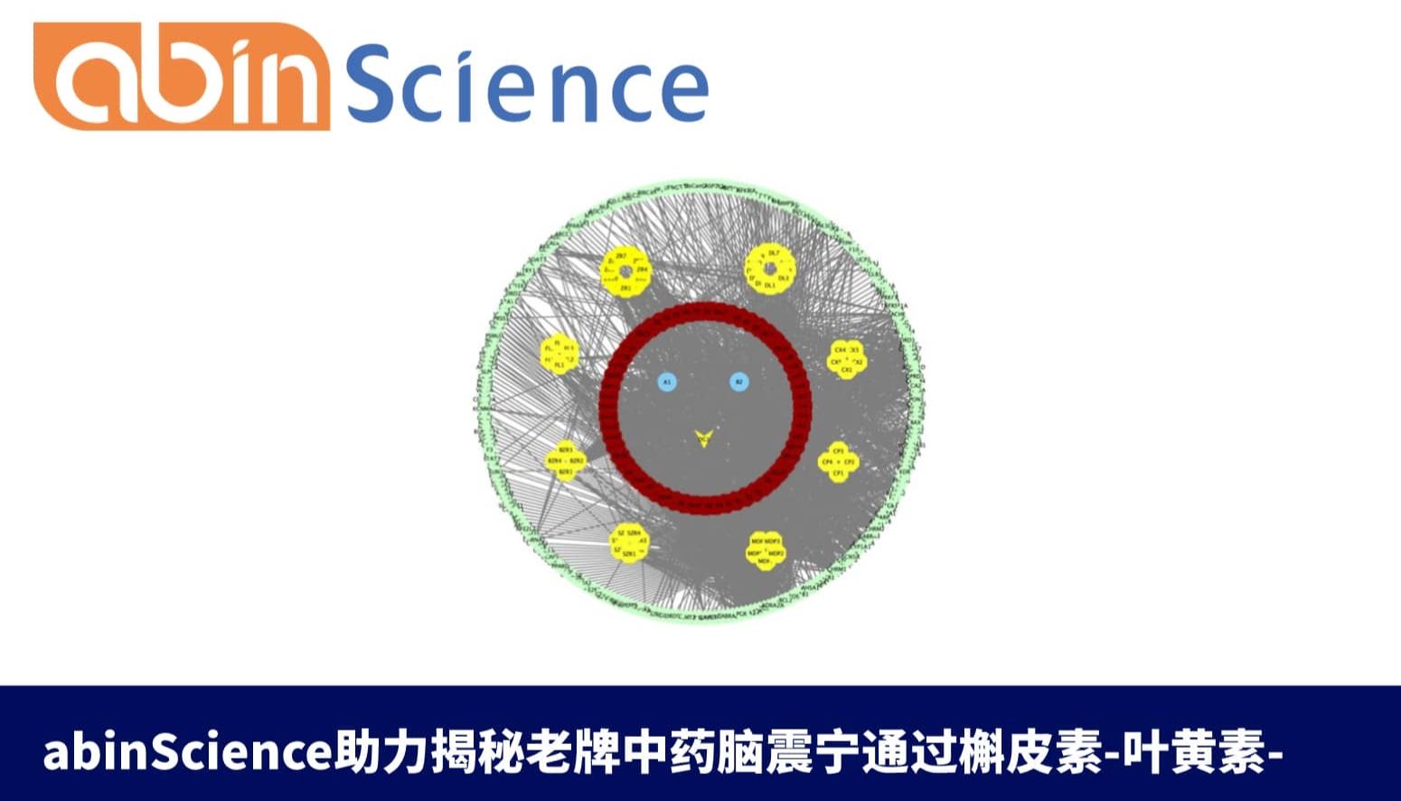 abinScience助力揭秘老牌中药脑震宁通过槲皮素-叶黄素-HMOX1轴精准抑制反复脑震荡后神经元铁死亡