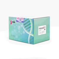 HRP快速标记试剂盒 