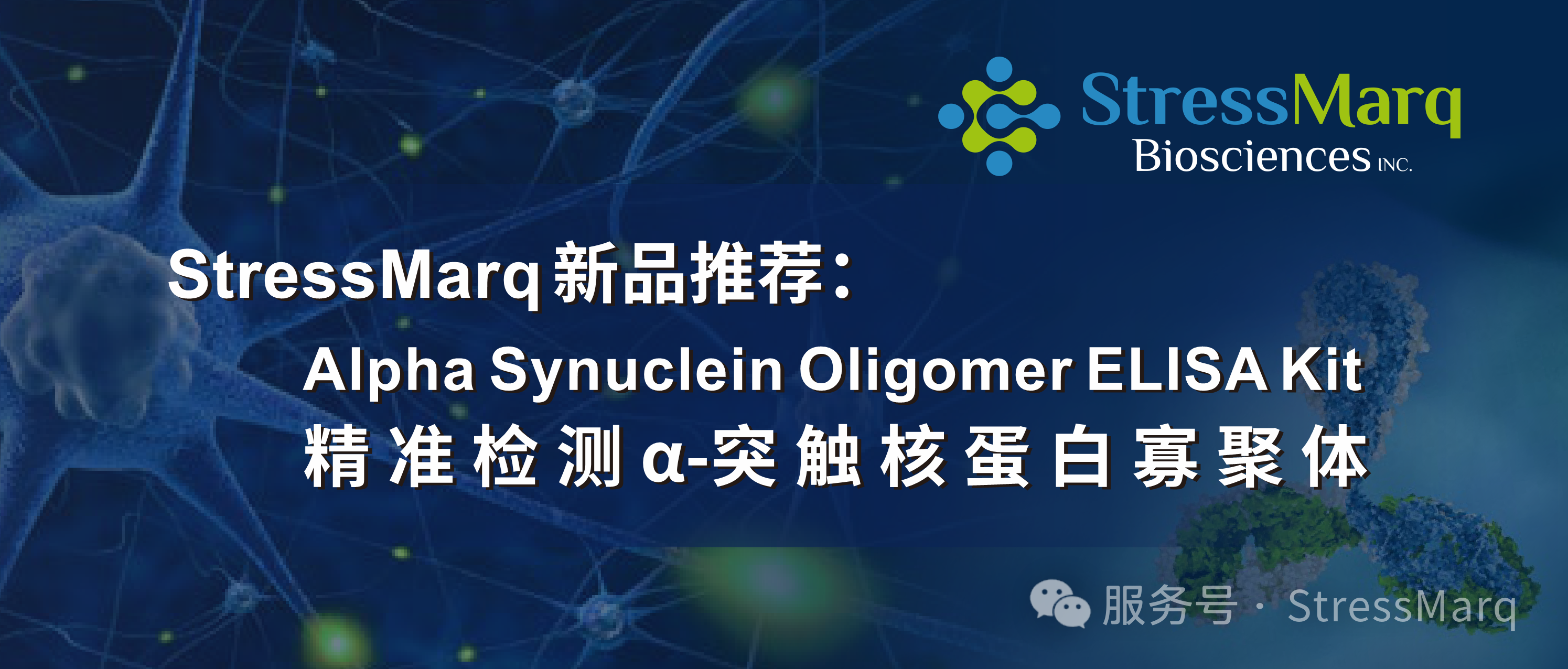 StressMarq新品推荐：Alpha Synuclein Oligomer ELISA Kit精准检测α-突触核蛋白寡聚体