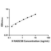 人RAD23同源物B(RAD23B)ELISA试剂盒
