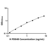 人磷酸二酯酶4B(PDE4B)ELISA试剂盒