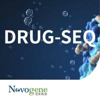 DRUG-SEQ