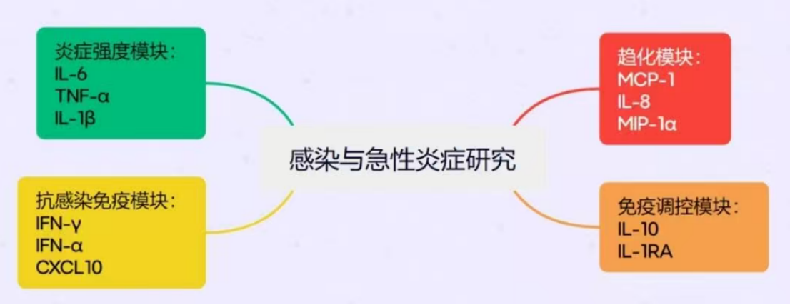 新闻图片3