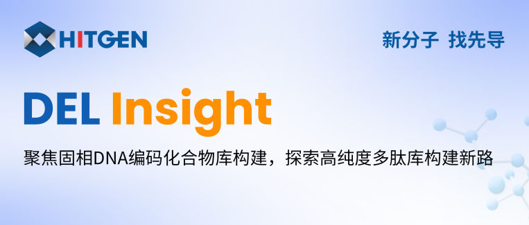 DEL Insight | 聚焦固相DNA编码化合物库构建，探索高纯度多肽库构建新路