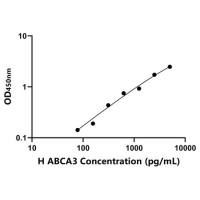 人ATP结合盒转运蛋白A3(ABCA3)ELISA试剂盒