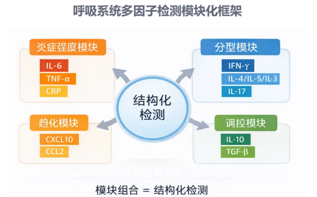 新闻图片2
