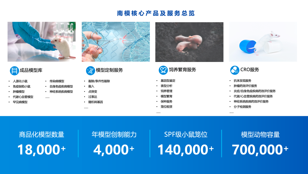 新闻图片3