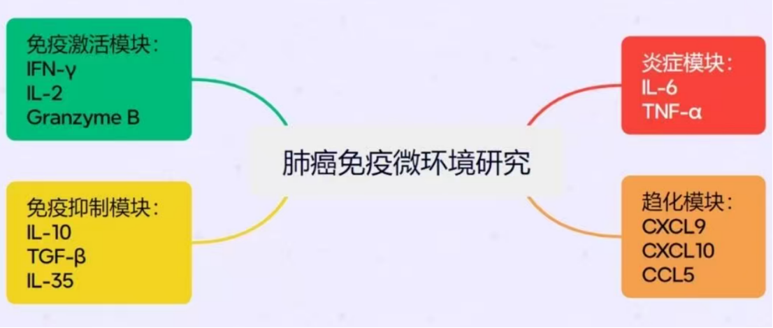 新闻图片6