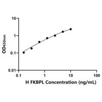 人FK506结合蛋白样蛋白(FKBPL)ELISA试剂盒