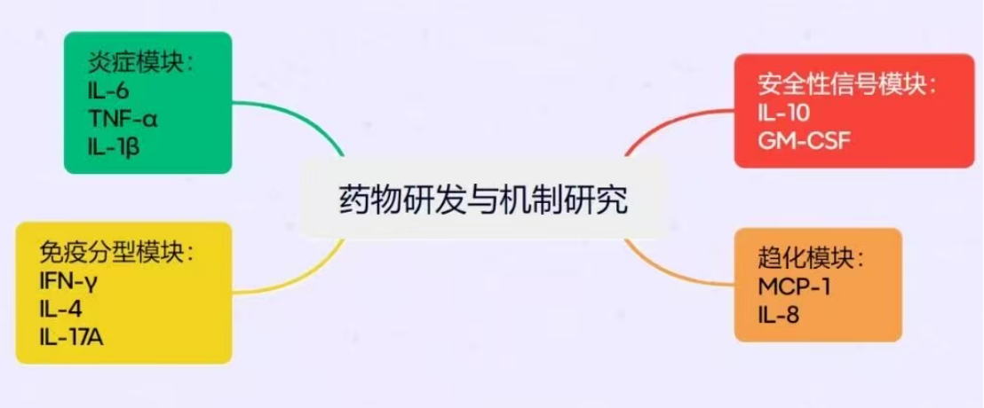 新闻图片7