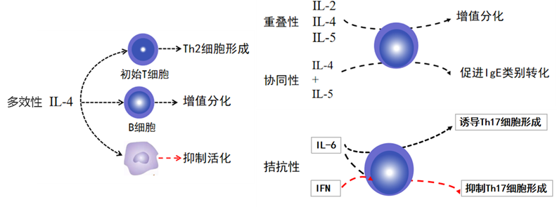 新闻图片2