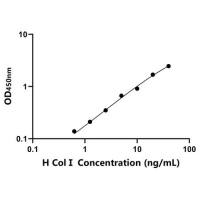 人I型胶原蛋白(ColⅠ)ELISA试剂盒