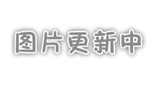 大鼠原代外根鞘细胞