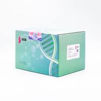TRIpure高纯度总RNA提取试剂盒HighPure RNA Purification Kit （with TRIpure reagent）