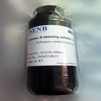 丽春红S染色液（1×ponceau S)