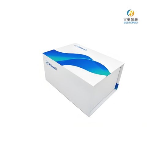 HLA-DRA 重组兔单克隆抗体