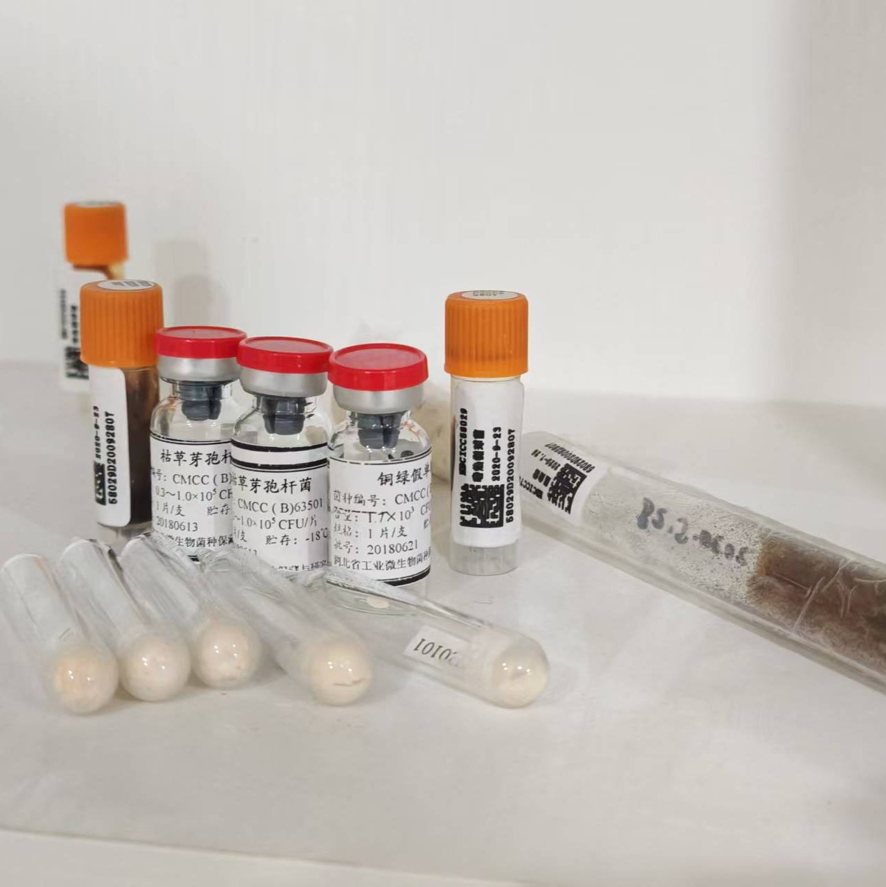 微生物菌种、分离和严格厌氧菌株培养发酵服务