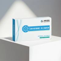 Anti-Mouse IL13 mIgG2a Antibody (BAK209B11)