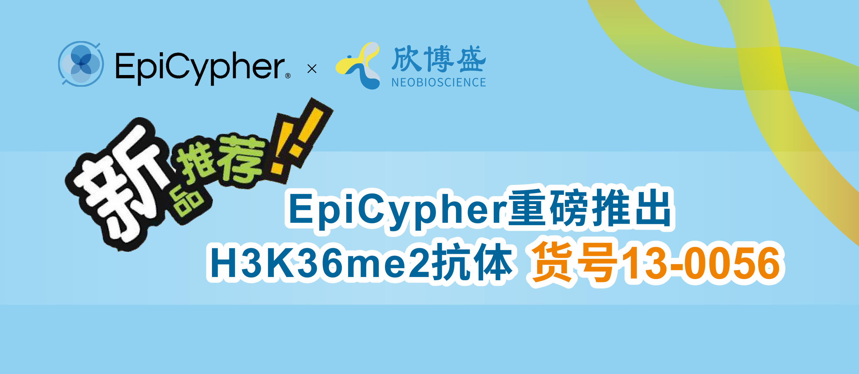 新品推荐—EpiCypher重磅推出H3K36me2抗体（货号13-0056 ）