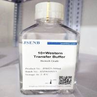 10×Western 转膜缓冲液