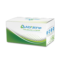 EliKine™ 小鼠血管紧张素转化酶2（ACE2）ELISA定量试剂盒（一步法）