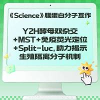 《Science》膜蛋白分子互作：Y2H酵母双杂交+MST+免疫荧光定位+Split-luc，助力揭示生殖隔离分子机制