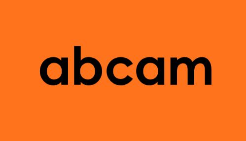 Abcam细胞信号通路抗体：解码生命信号的科学利器