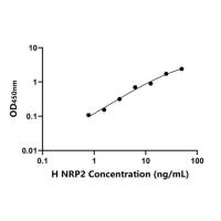 人神经纤维网蛋白2(NRP2)ELISA试剂盒