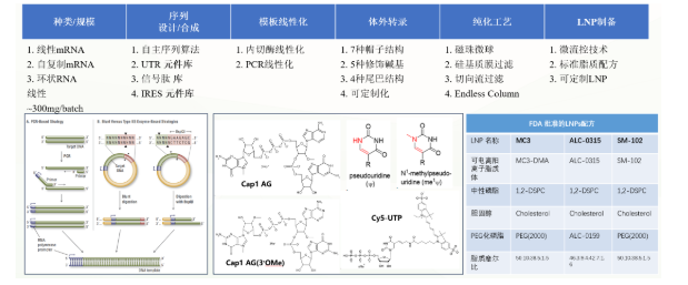 新闻图片6