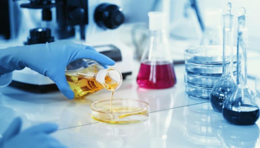 短链脂肪酸定量检测：7种核心成分，从粪便到土壤全覆盖