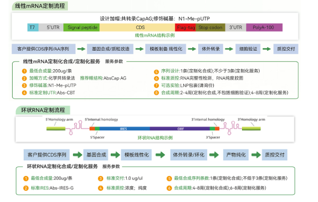 新闻图片7