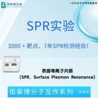 3000 + 靶点实操经验！佰莱博 SPR 分子互作实验服务，助力实验快速完成